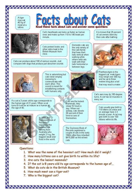 Worksheets Fact Cats