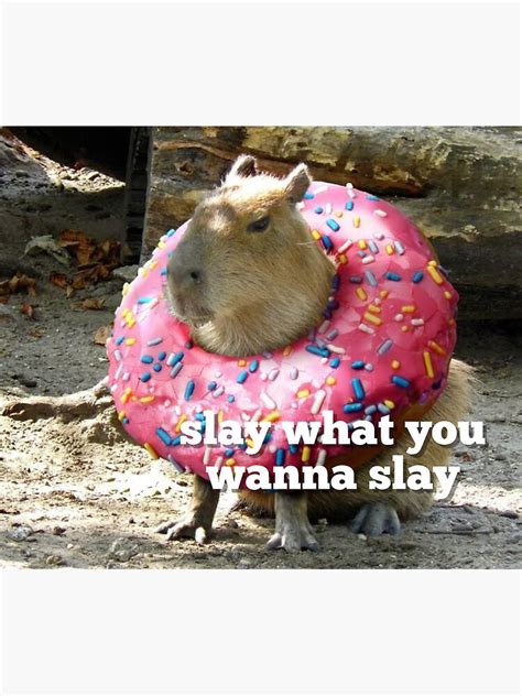 "Slay What You Wanna Slay Capybara" Sticker for Sale by michelles2321 ...