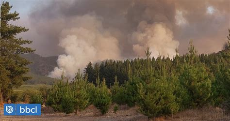 Declaran Alerta Roja En Tres Comunas Del Maule Por Incendio Forestal