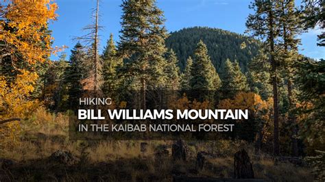 Hiking Bill Williams Mountain Socal Hiker