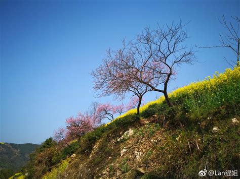 歙县昌溪古村是古徽州歙县境内的一个历史、文化、生态古村