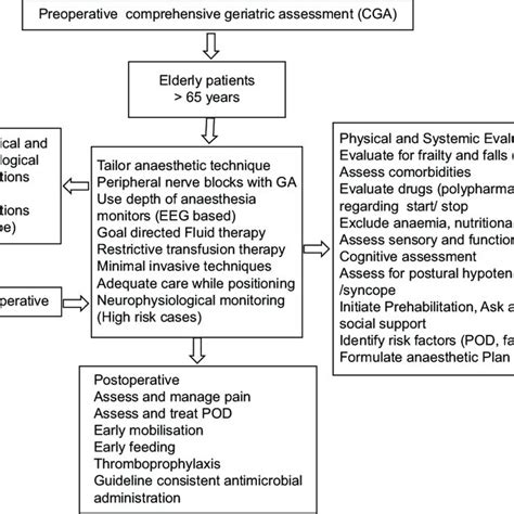 Comprehensive Geriatric Assessment Ga General Anaesthesia Eeg Download Scientific Diagram