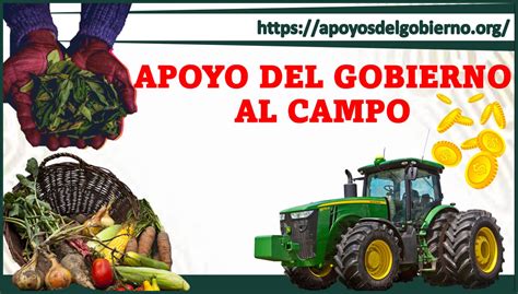 Apoyo Del Gobierno Al Campo 2023 2024 Enero 2025