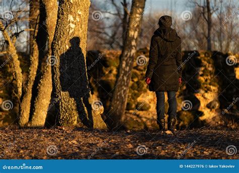 Lonely Girl And Shadow On A Tree Stock Photo Image Of Light Freedom