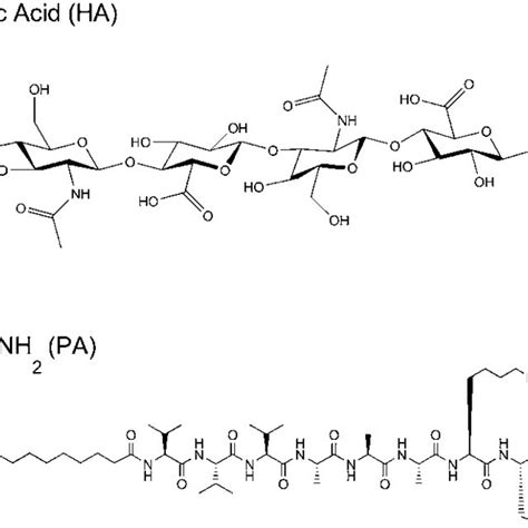 A B The Chemical Structure Of Peptide Amphiphile Molecules With Download Scientific Diagram