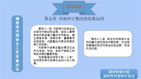 学习强审 《湖州市内部审计工作实施办法》（第二十四期）