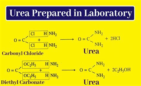 What Is Urea How To Make Urea Fertilizer Urea Uses Chemistry Page