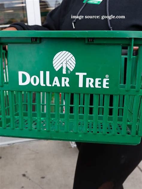 11 Best New Items Coming To Dollar Tree This Winter StatAnalytica