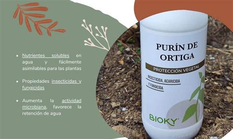 Beneficios del purín de ortiga como fertilizante natural