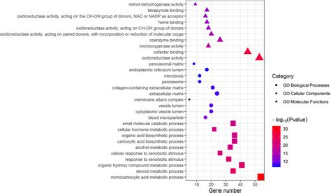 Go Enrichment Analysis Of Degs The Top 10 A Ranking By P Value