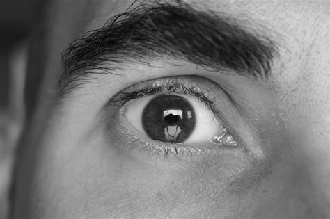 eye man human  photo  pixabay pixabay