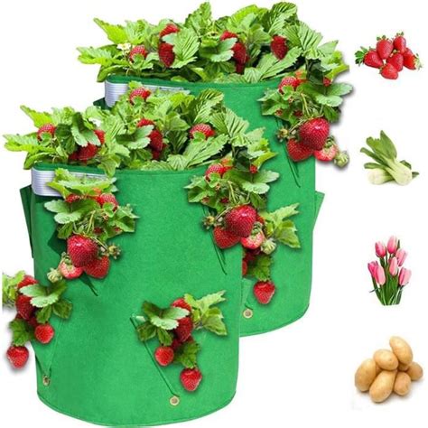 Sacs De Culture Fraise Pcs Gallons Sac Plantation Fraise Avec