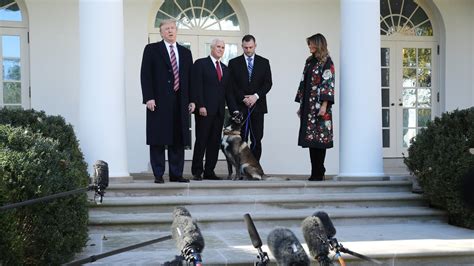 Conan The Dog Donald Trump Really Wants To Show Off This One Dog He