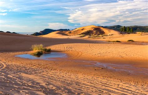 Sand dunes in the Namib desert at dawn, roadtrip in the wonderful Namib ...