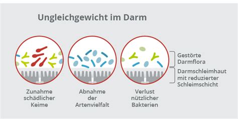 Dysbiose Ein Ungleichgewicht Der Darmflora