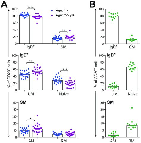 Distribution Of B Cell Subsets In PBMC A Frequencies Of B Cell