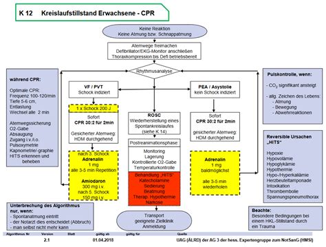 Kreislaufstillstandcpr Erwachsene Algorithmen Sop Easy Hessen