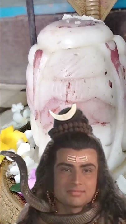 जग का स्वामी है तू अंतर्यामी है तू Hey Shambhu Baba Mere Bhole Nath 🙏