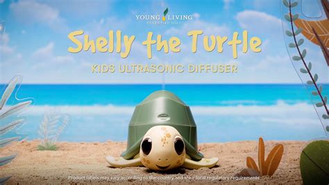 Shelly The Turtle Diffuser Youtube