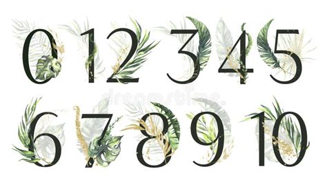 Tropical Green And Gold Floral Number Set Digits 1 2 3 4 5 6 7