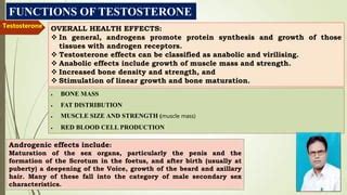 Testosterone Hormone | PPT | Free Download