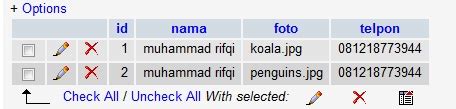 Trick Membuat Autocomplete Pakai Gambar Dengan Php Mysql Menulis