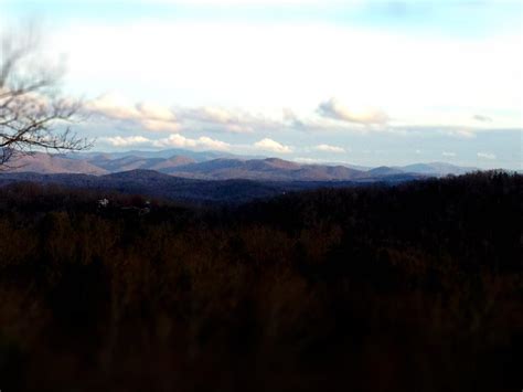 Pine Forest Cabin Rentals - Break your routine and escape to the Smokey