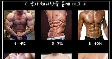 일반인이 체지방률10퍼 유지가능 웃사