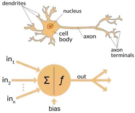 Comparison Between Ann And Bnn Download Scientific Diagram