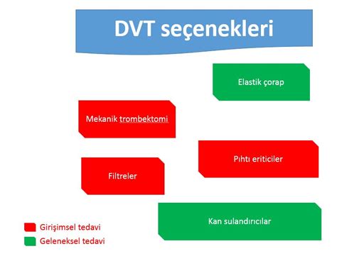 Der N Ven Trombozu Prof Dr Mehmet Kurto Lu Ki Isel Web Sayfas