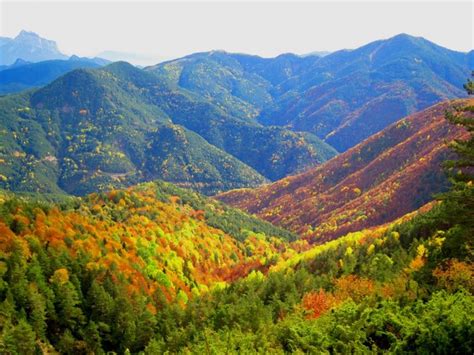 La excursión más popular de este otoño el bosque de la Pardina del