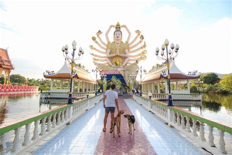 Top 7 der schönsten Tempel auf Koh Samui PlacesofJuma