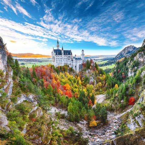 C L Bre Ch Teau Neuschwanstein En Bavarie Avec Feuilles D Automne