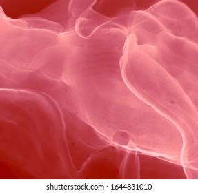 sexo coño vulva clítoris vagina orgasmo Foto de stock Shutterstock