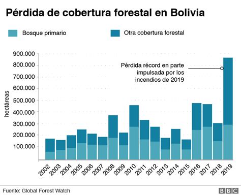 Deforestación Los 10 Países Que Perdieron Más Bosque Virgen En El