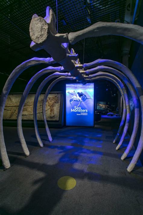 Prehistoric Sea Monsters Hit Fremantle Perth Happenings