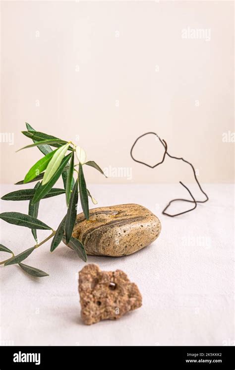 Abstract Nature Scene With Composition Of Stones Wire And Green Olive