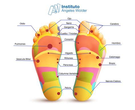 Descodificando Los Pies Instituto Ngeles Wolder