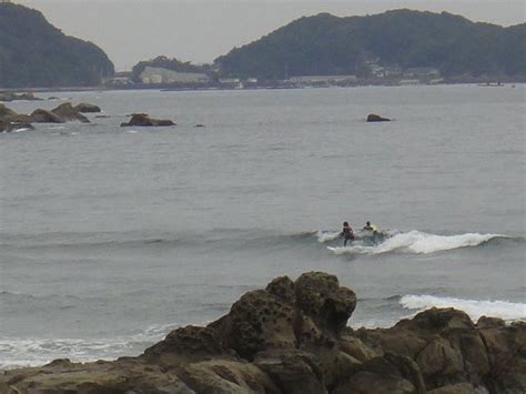 ちっちゃいなぁ・・・ 生見海岸 民宿＆レストラン みちしおのブログ