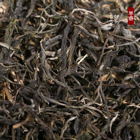 2016年书剑古茶 春茶系列 昔归古树茶 生茶 100克罐价格多少钱 茶窝网 正品普洱茶商城