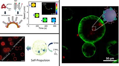 Smart Nano Bio Devices Institute For Bioengineering Of Catalonia