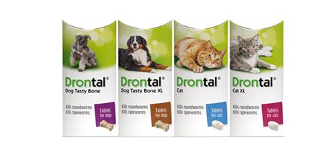 Drontal Cat Deworming Tablet | ubicaciondepersonas.cdmx.gob.mx