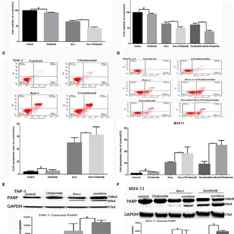 Effect Of Chidamide On Sirt Expression In Acute Myeloid Leukemia