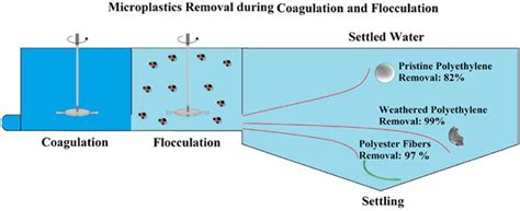 Water Free Full Text Review Of Microplastic Distribution Toxicity Analysis Methods And