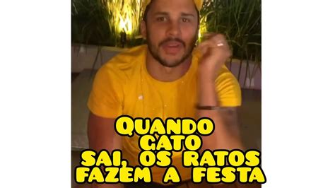 Quando Os Gatos Saem Os Ratos Fazem A Festa