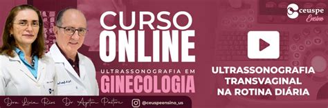 Curso Us Transvaginal Centro De Treinamento Especializado Em