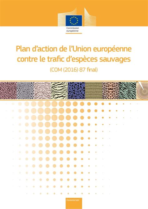 Un Plan Daction Europ En Pour Lutter Contre Le Trafic Desp Ces