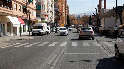 El PSOE exige la paralización inmediata de la tala de árboles en la