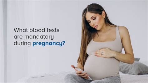 Ampath Lab The Essential Blood Tests Every Pregnant Woman Must Take