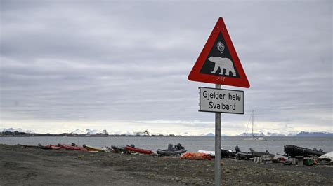 Värmerekord På Svalbard Sameradion Sveriges Radio